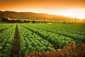 Sustainable Agriculture