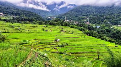 Sustainable Agriculture